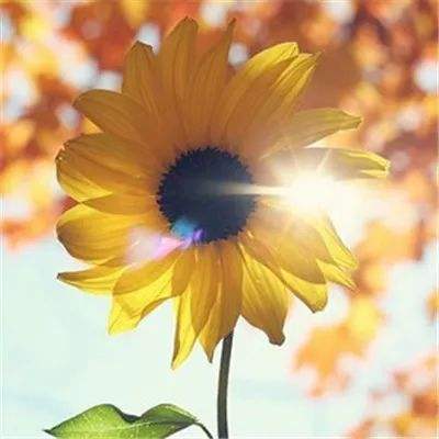 亿博·app官方网站